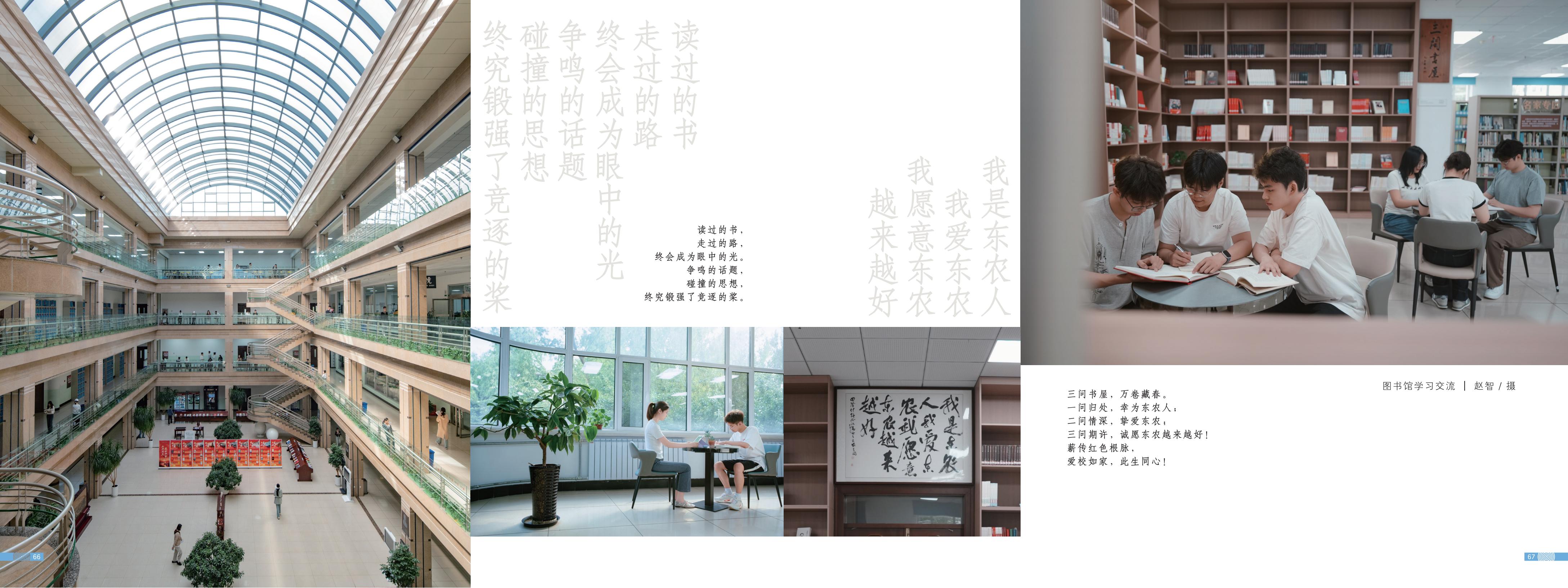 画册图片第38页