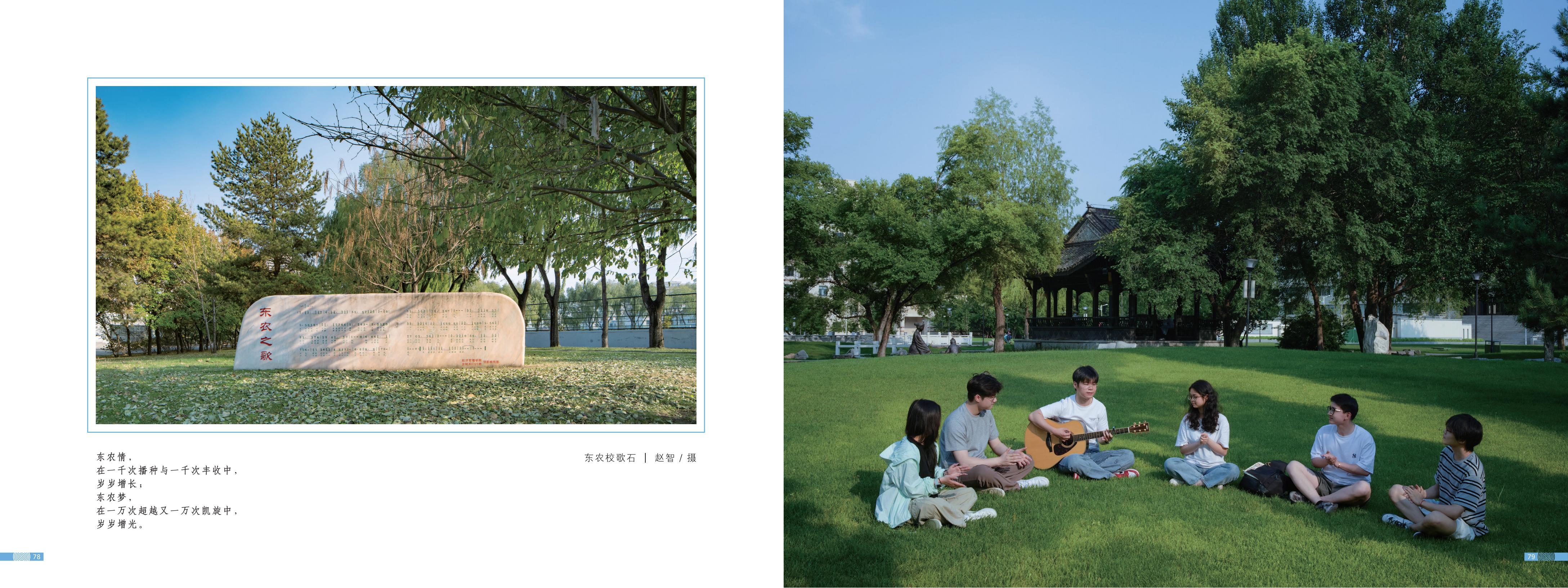 画册图片第44页