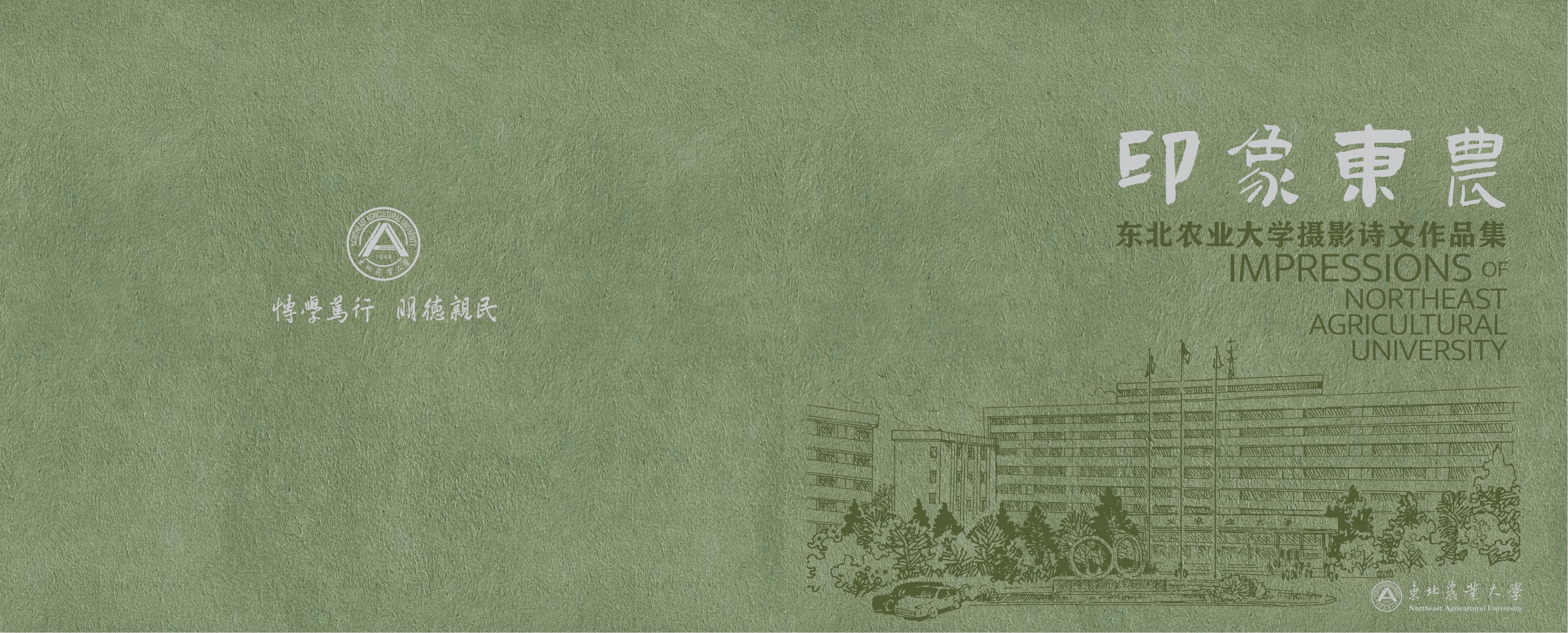 画册图片第1页