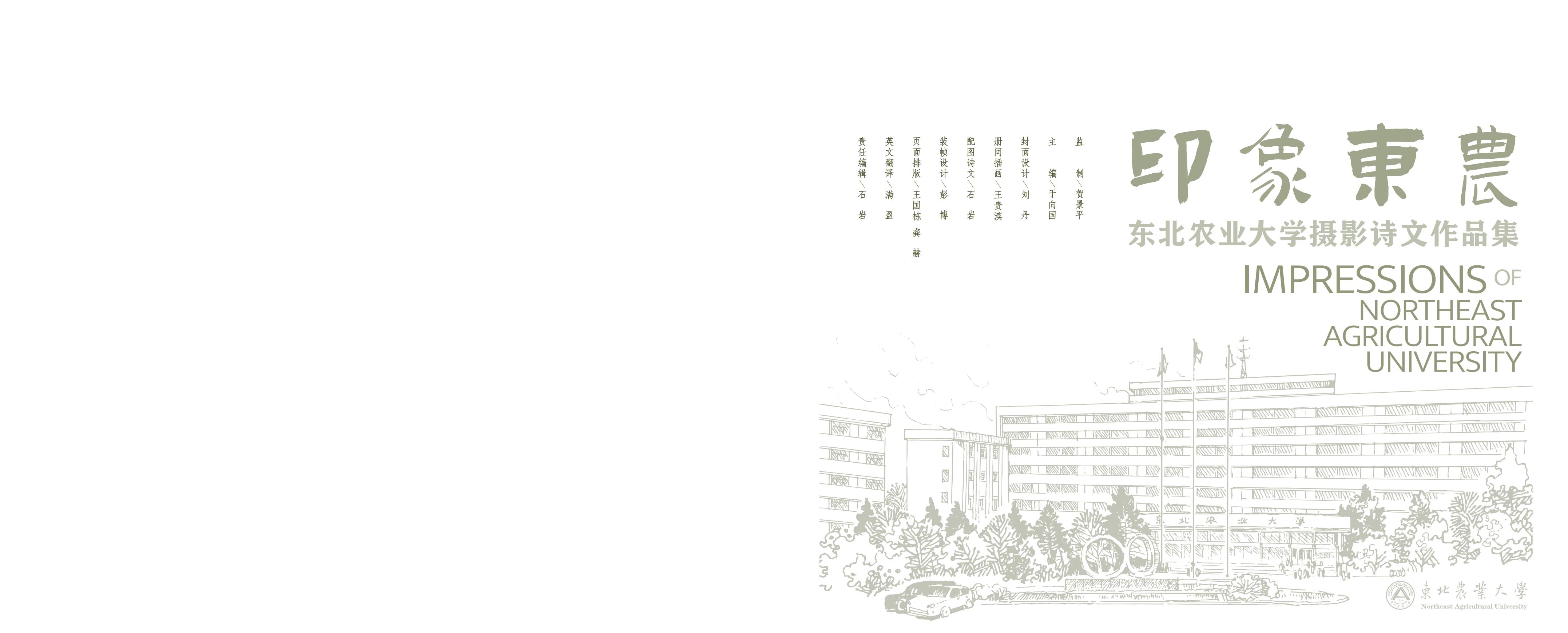 画册图片第2页