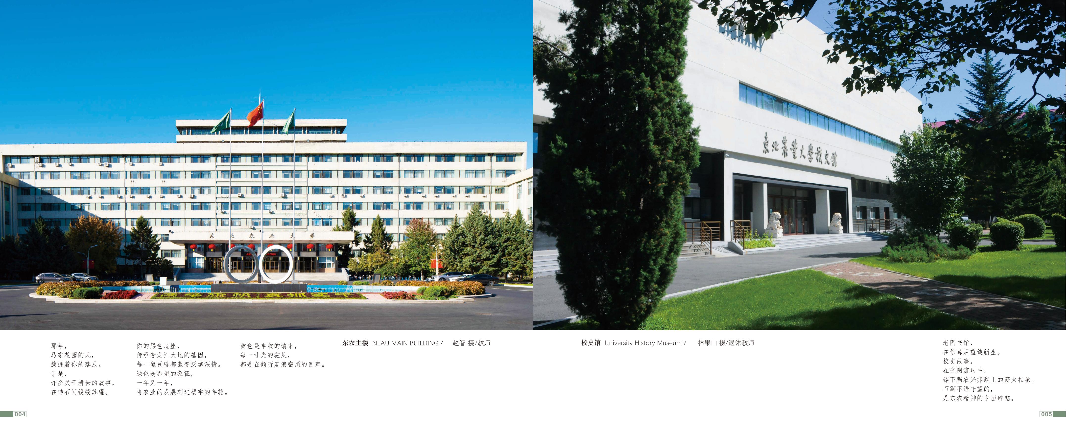 画册图片第6页