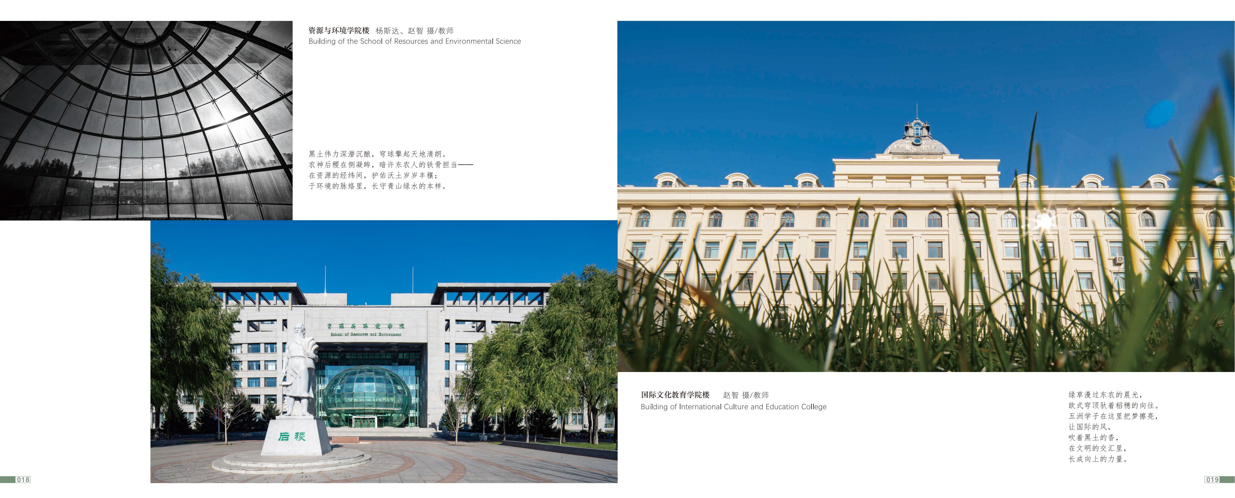 画册图片第13页