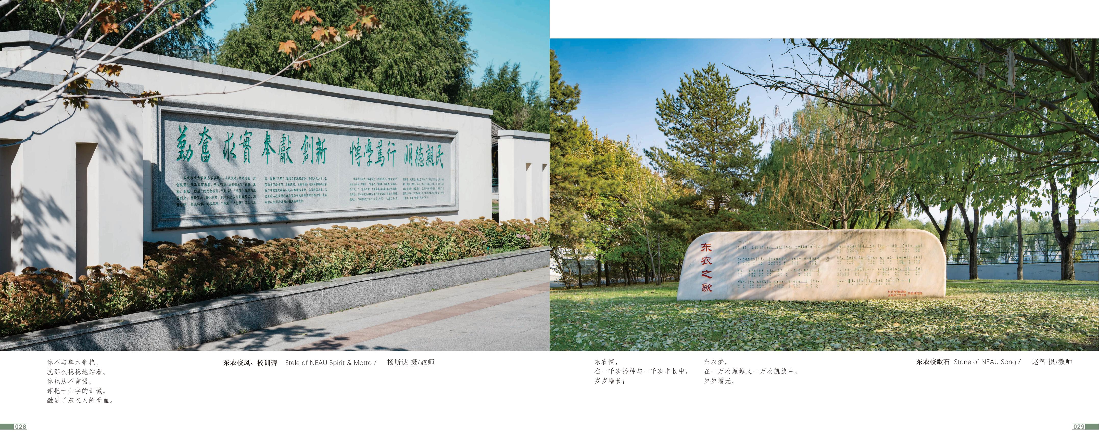 画册图片第18页