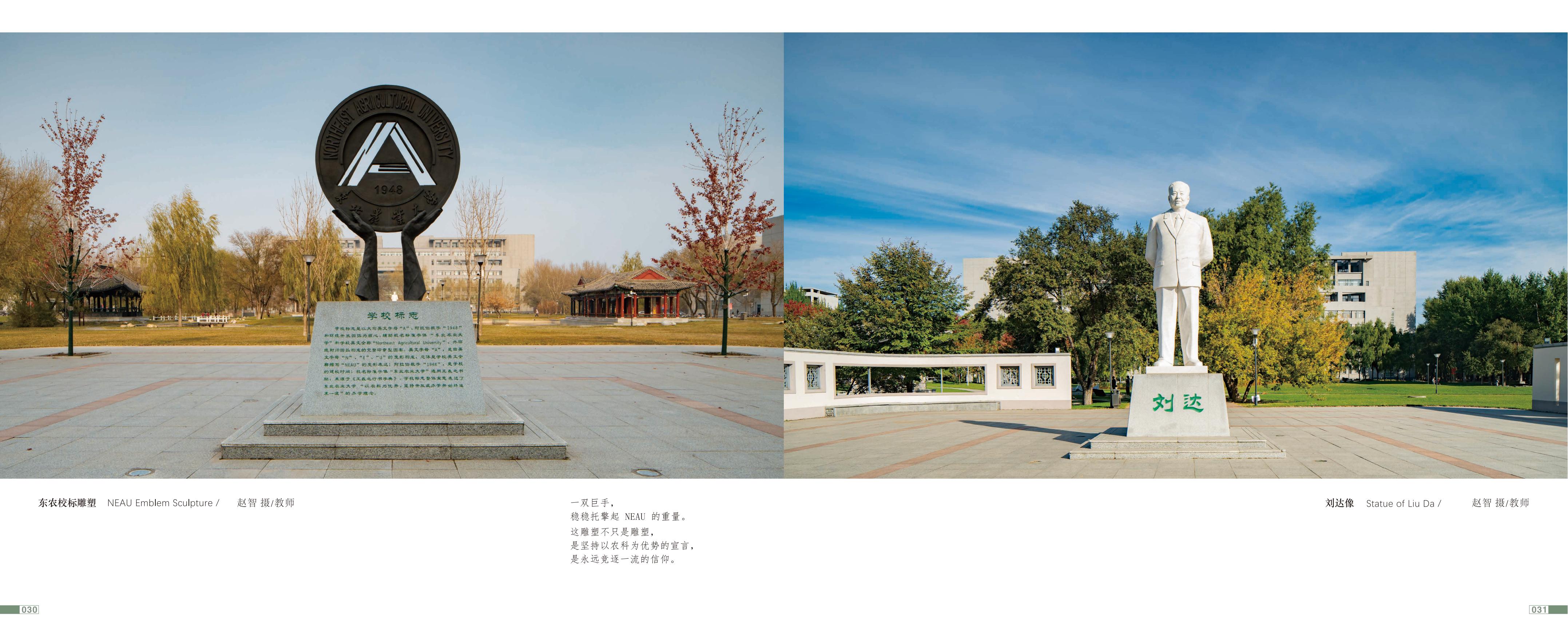 画册图片第19页