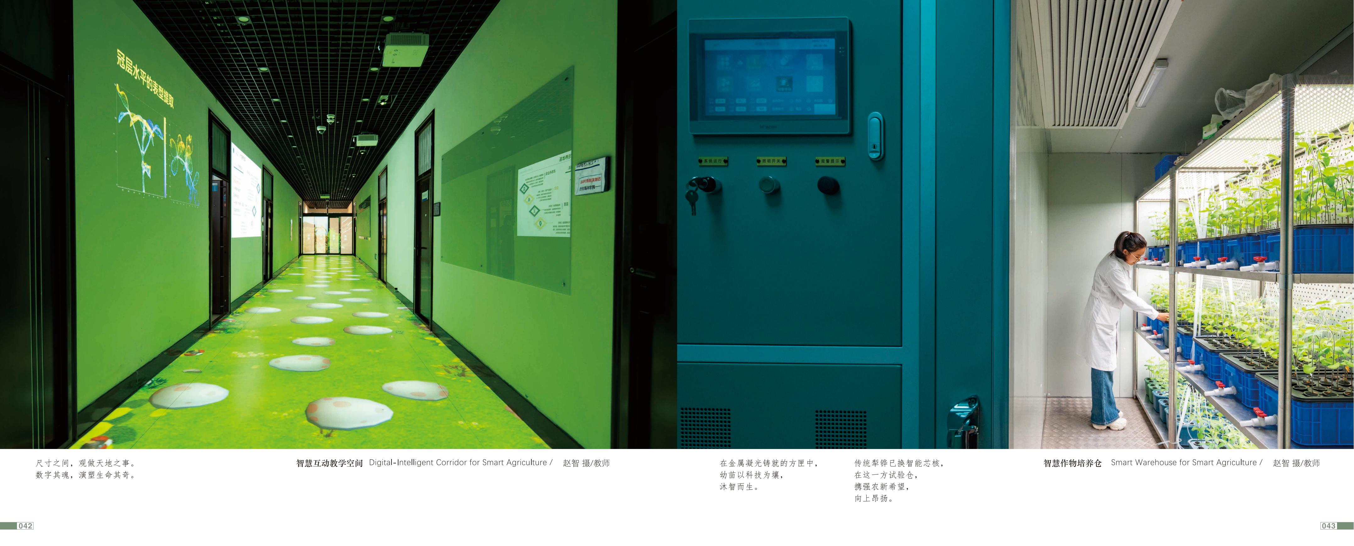画册图片第24页