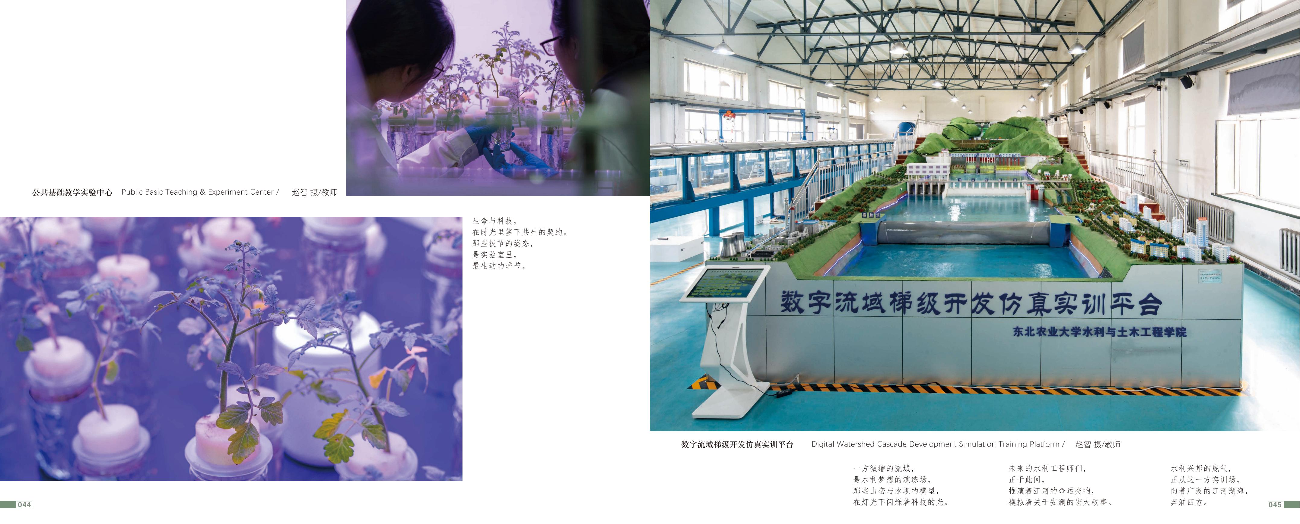 画册图片第25页
