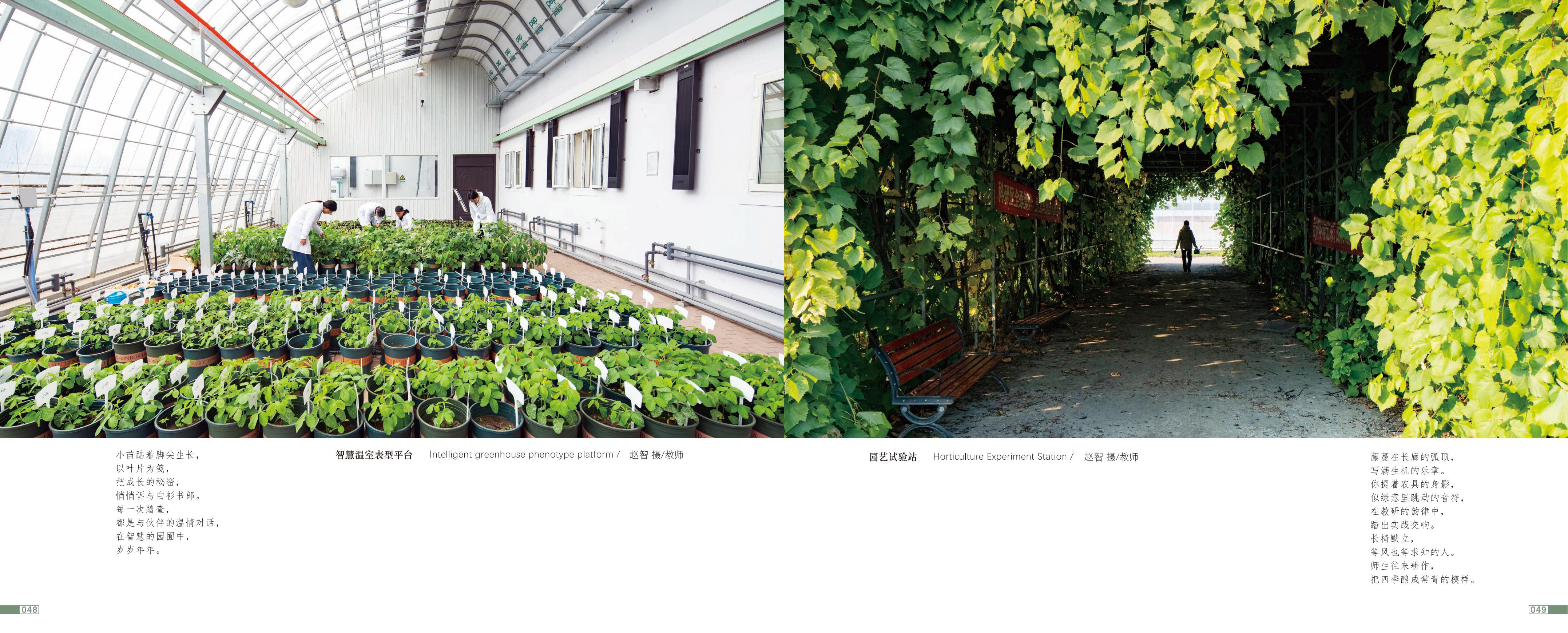 画册图片第27页