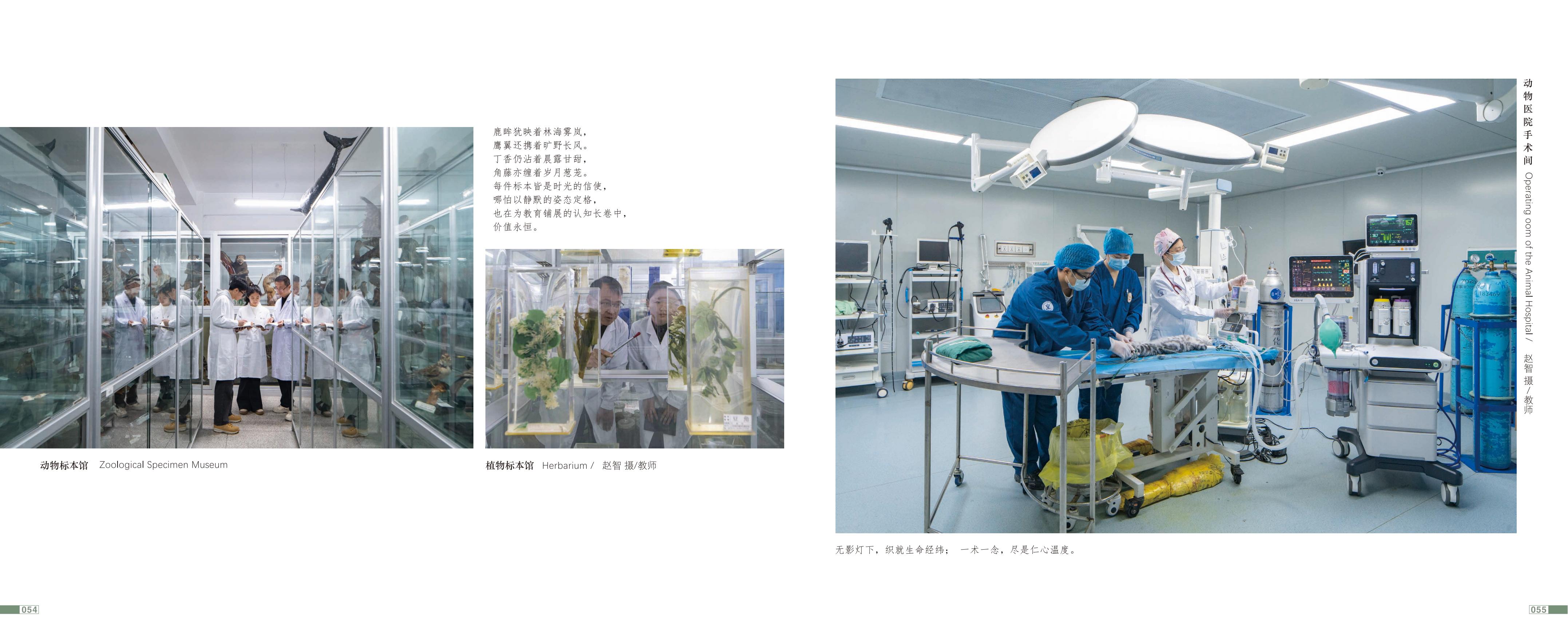 画册图片第30页