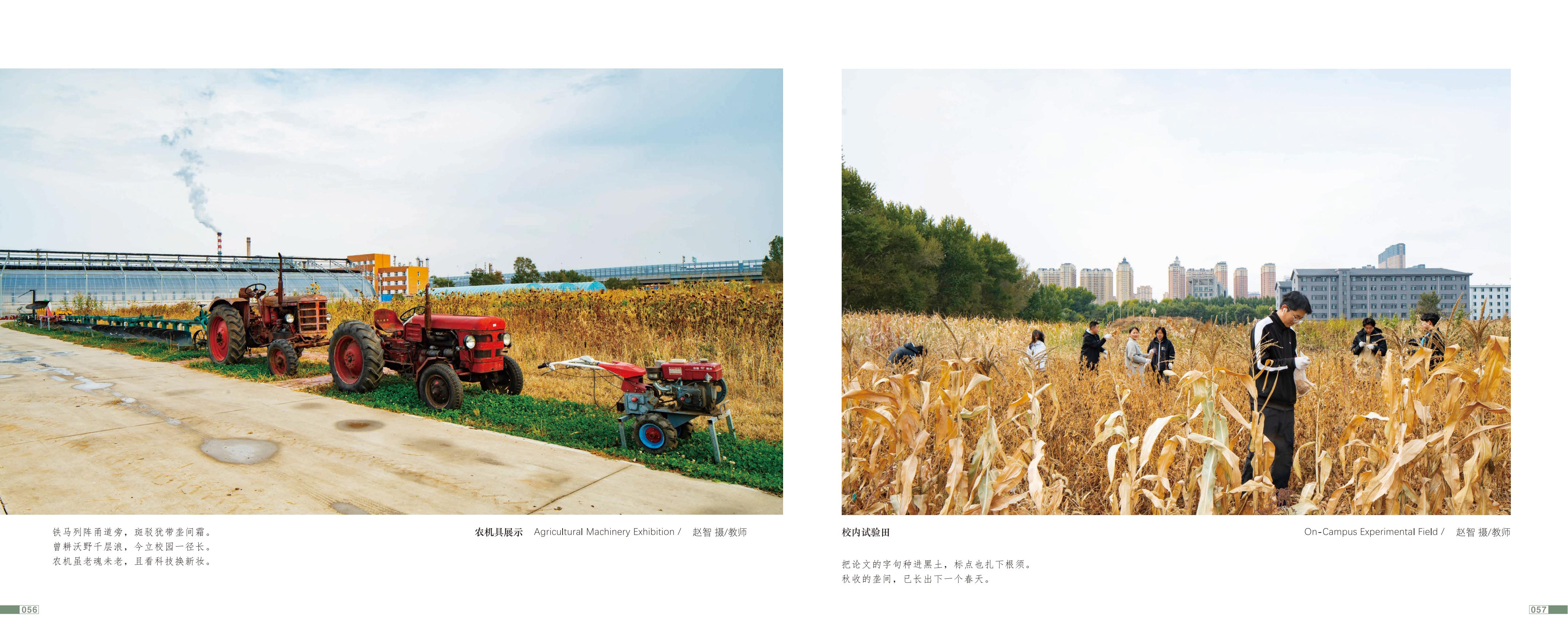 画册图片第31页