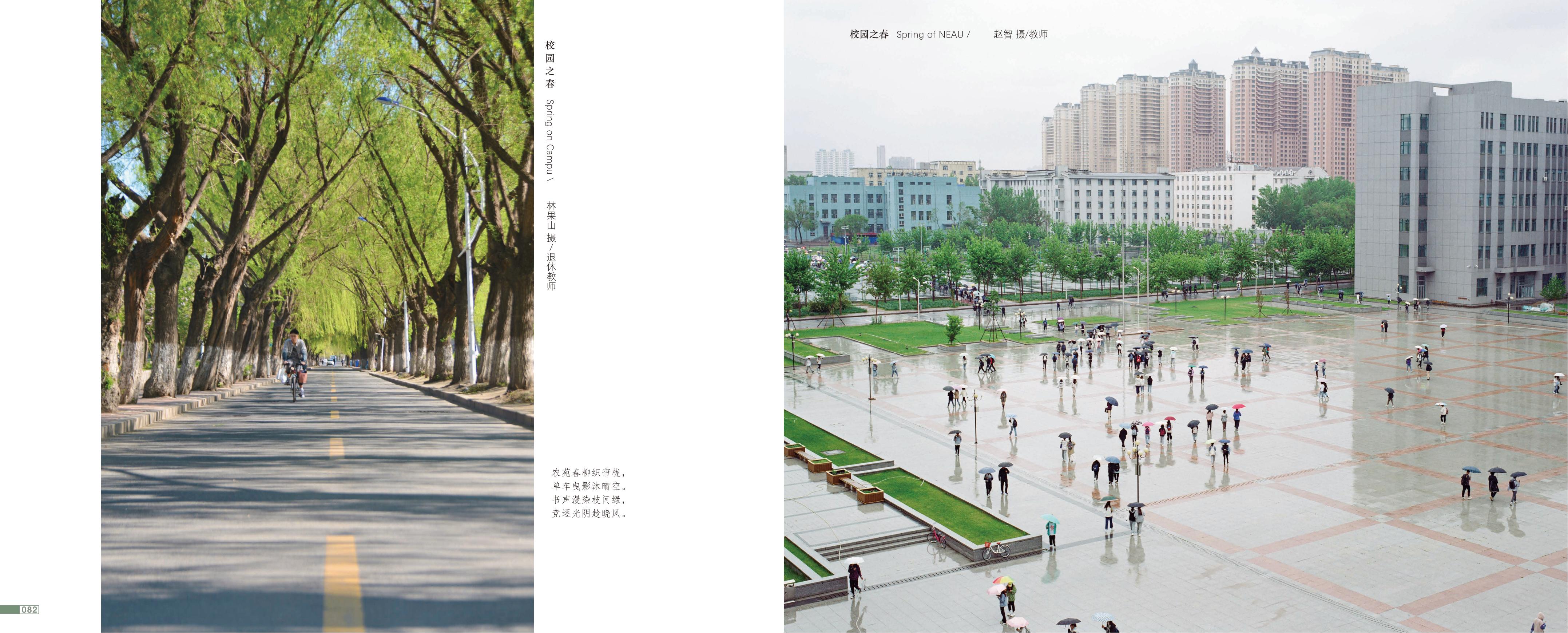 画册图片第44页