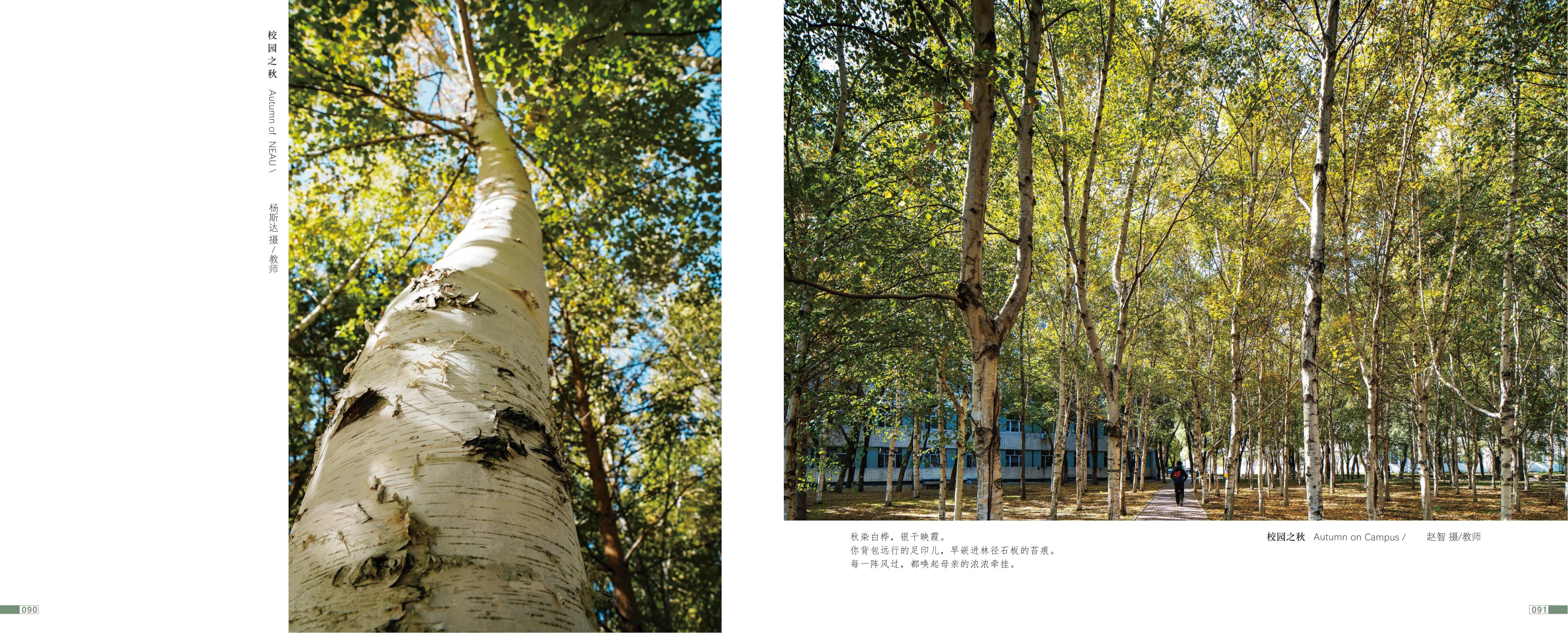画册图片第48页