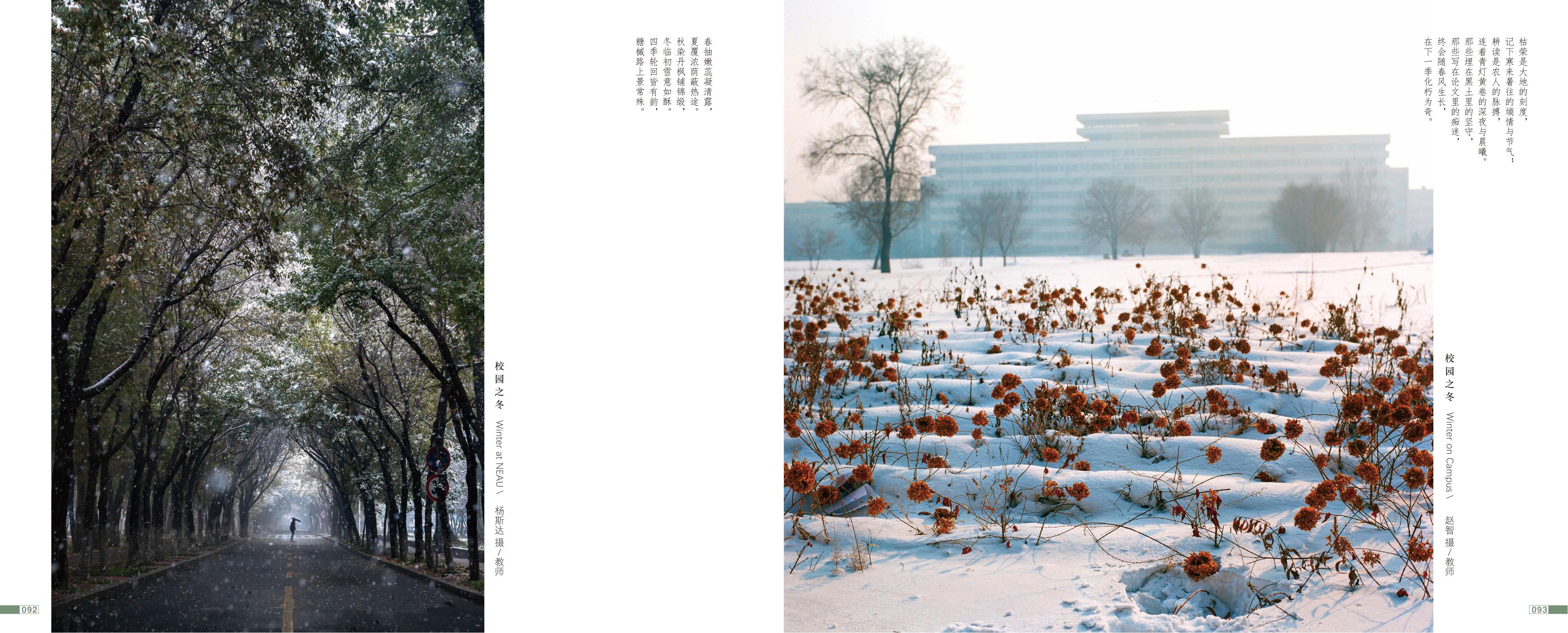 画册图片第49页