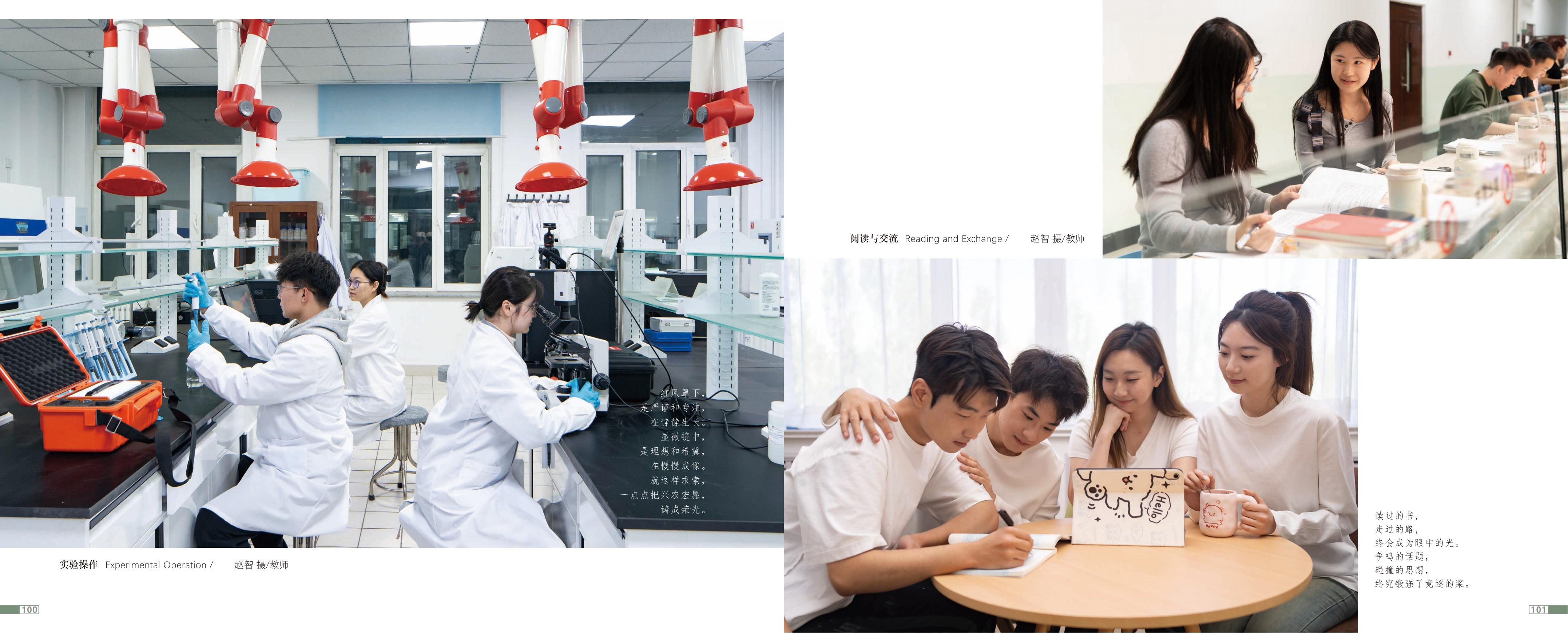 画册图片第53页